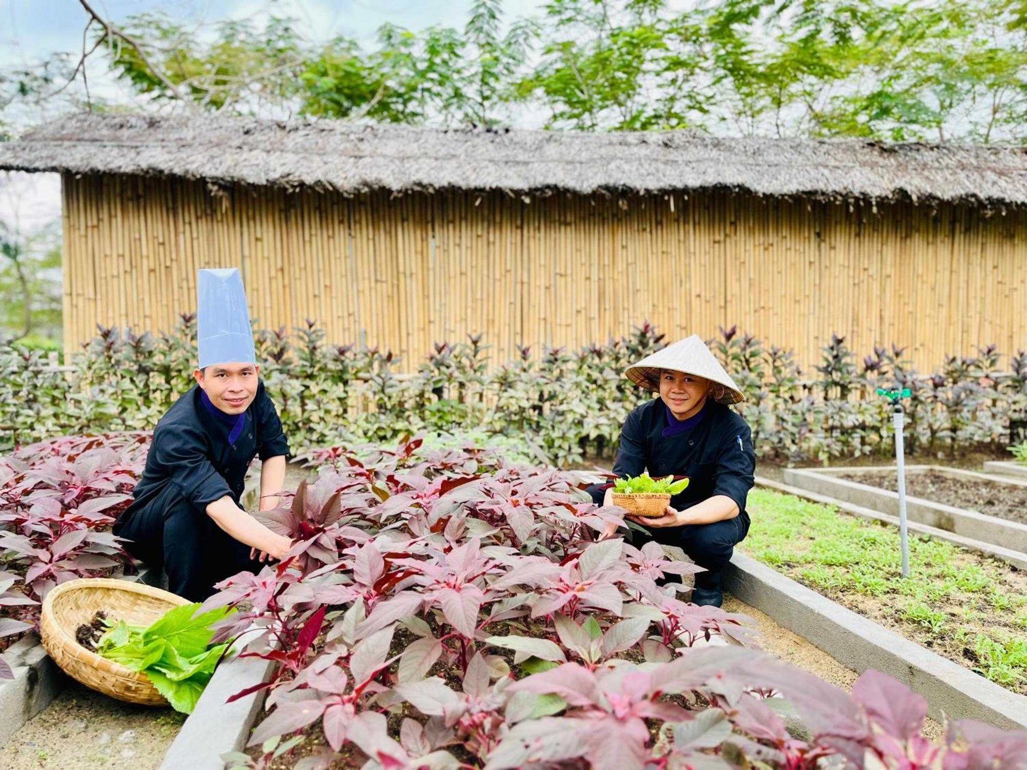 Ttc Van Phong Bay Resort - Himalaya Sauna & Steam Retreat Included Ninh Hoa Exterior photo